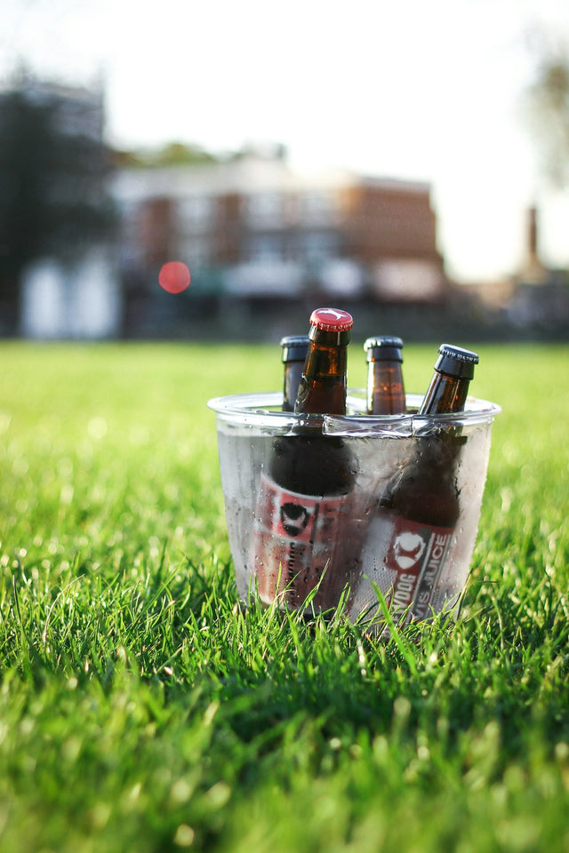 Bierflessen in een emmer met ijs