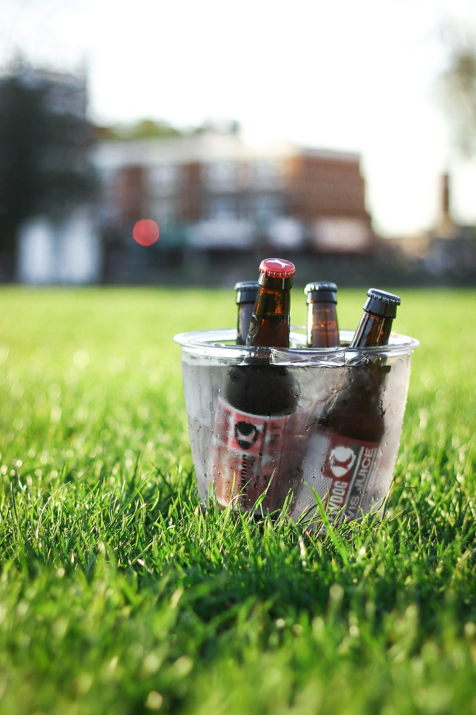 Bierflessen in een emmer met ijs